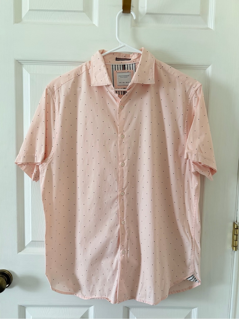 Cactus Man Ricky Singh Men's Light Pink Short-Sleeve Dot Button-Down Shirt
